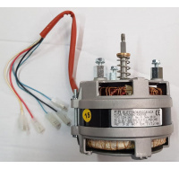 motor_3p_fir_204_01002_steamers_153263632